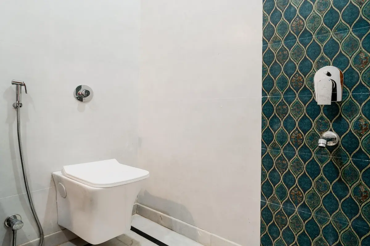 shower-area-and-toilet